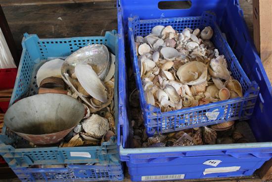 4 boxes of shells